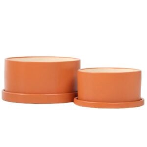 Dish Garden Attached Saucer - Alfresco - Orange - 9"