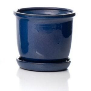 Tomorrow Petits Attached Saucer – Alfresco – Blue – 6″