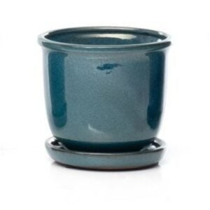 Tomorrow Petits Attached Saucer – Alfresco – Turquoise – 6″