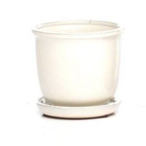 Tomorrow Petits Attached Saucer – Alfresco – White – 6″