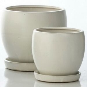 Darines Petit Pot With Saucer – Alfresco – White – 8″