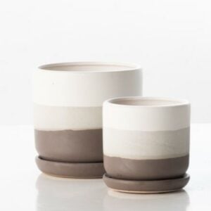 Band Planter Attached Saucer - Alfresco - Brown /Cream - 7.5"