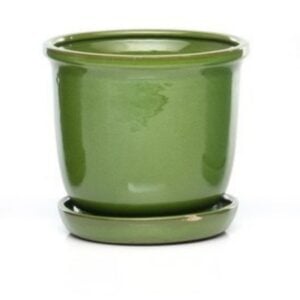 Tomorrow Petits Attached Saucer – Alfresco – Green – 8″