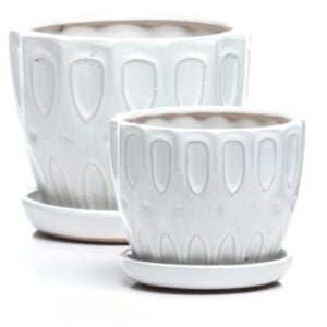 Tickets Petit Pot – Alfresco – White – 7.5″