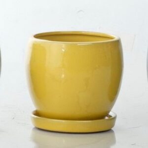 Darines Petits With Saucer – Alfresco – Yellow – 8″