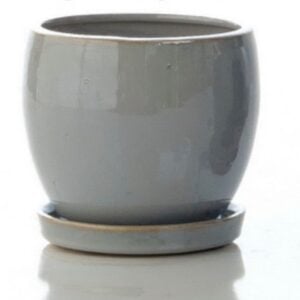 Darines Petits With Saucer – Alfresco – Grey – 8″