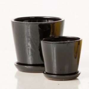 Patrice Petit Pot Atached Saucer - Alfreso - Black - 5"