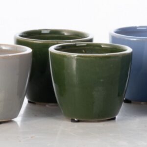 Minnow Mini Pot - Alfresco - Green - 2.75"