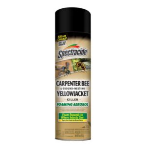 Carpenter Bee and Yellow Jacket Killer – Spectracide – 16 oz