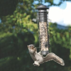 Dragonfly Squirrel Resistant Bird Feeder - 2.5 LB
