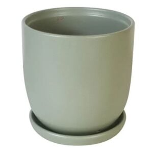 Chatham Egg Pot - Border Concepts - Matte Green - 7"