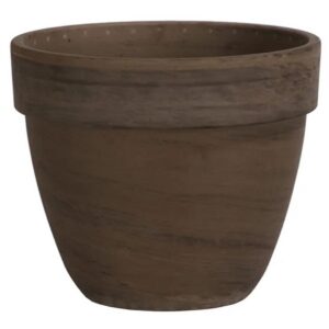 German Levante Pot - Border Concepts - Chocolate - 8"