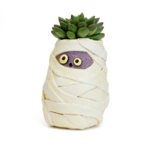 Mummy Mia Planter - Blobhouse