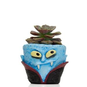 Count Succula Vampire Planter - Blobhouse