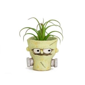 Bolt Frankenstein Planter - Blobhouse