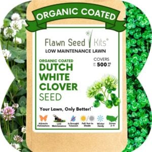Dutch White Clover - Flawn Seed - 500 SQ FT