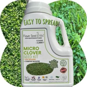 Micro Clover Jug - Flawn Seed - 2500 SQ FT