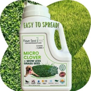Micro Clover Lo Mow Shaker - Flawn Seed - 1000 SQ FT