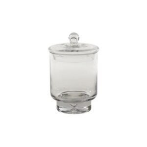 Asteridge Terrarium - Glass - 10"