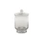 Asteridge Terrarium - Glass - 10"