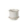 Aurina Pot With Saucer - White - 6.25"