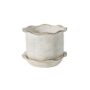 Aurina Pot With Saucer - White - 8"