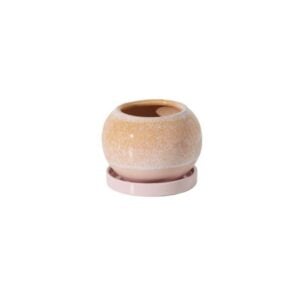 Casey Round Pot With Saucer - Cream/Pink - 6.5"