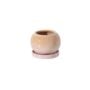 Casey Round Pot With Saucer - Cream/Pink - 6.5"