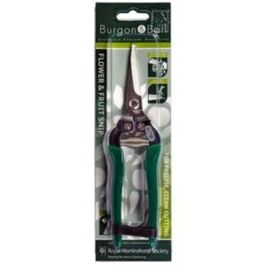 Flower & Fruit Snips - Burgon & Ball - Green