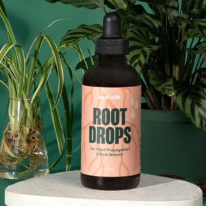 Root Drops - Southside Plants - 4 OZ