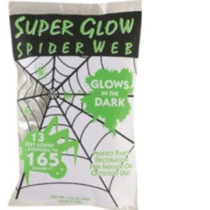 Glow in the Dark Spider Web – 16′
