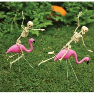 Racer Skeleton Flamingo - 2 pack