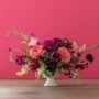 Botanical Alchemy