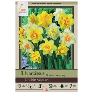 Narcissus Double Flowering - Double Mix - 7 Bulb Pack