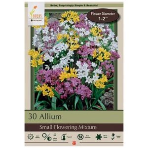 Allium - Small Flowering Mix - 30 Bulb Pack