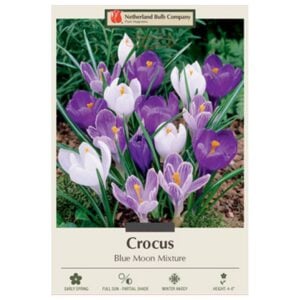 Crocus Vernus - Blue Moon Mix - 15 Bulb Pack