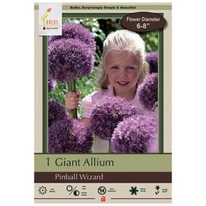 Allium - Pinball Wizard - 1 Bulb Pack