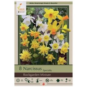 Narcissus Specialty - Rock Garden Mix - 7 Bulb Pack