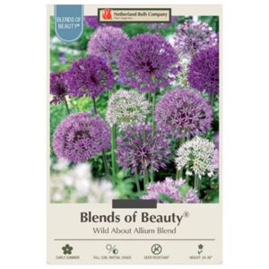 Allium - Wild About Allium Blend - 8 Bulb Pack