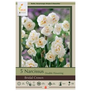Narcissus Double Flowering - Bridal Crown - 7 Bulb Pack