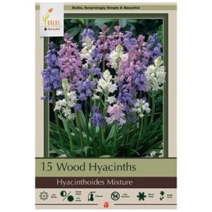 Hyacinthoides Hispanica - Wood Mix - 10 Bulb Pack