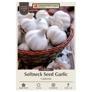 Garlic (Artichoke Type) – California Softneck – 6 Bulb Pack