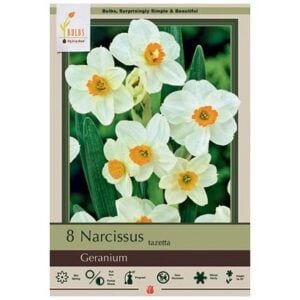 arcissus Tazetta - Geranium - 7 Bulb pack