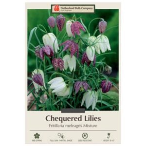 Fritillaria Meleagris Mix - 12 Bulb Pack