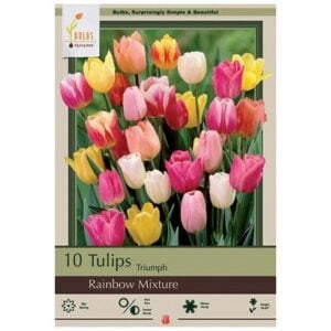 Tulip Triumph - Rainbow Mix - 7 Bulb Pack