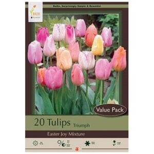 Tulip Triumph - Easter Joy Mix - 16 Bulb Pack