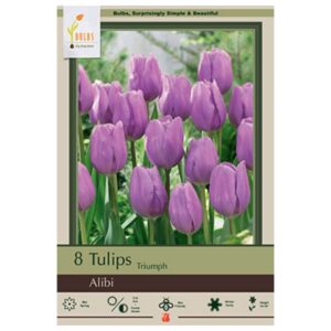 Tulip Triumph - Alibi - 7 Bulb Pack