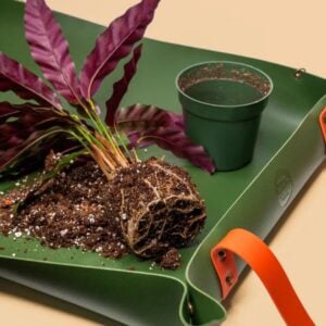Repotting Mat – We The Wild – Green – 30″ x 19″