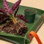 Repotting Mat – We The Wild – Green – 30″ x 19″