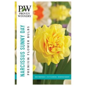 Narcissus Double Flowering - Sunny Day - 8 Bulb Pack